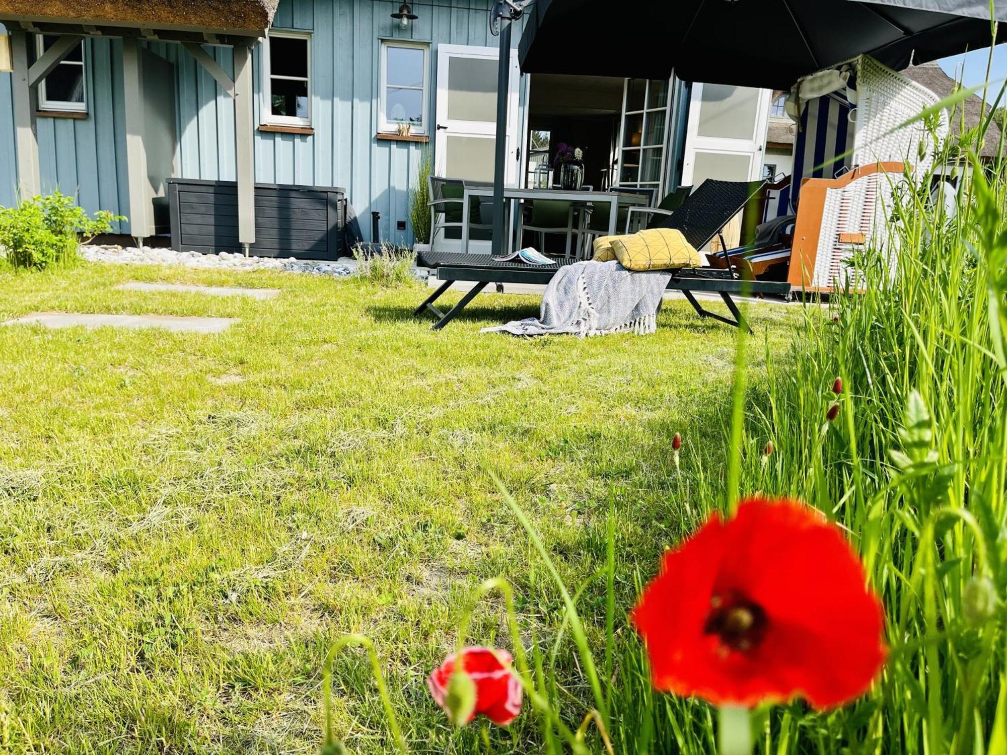 Ferienhaus Strandflieder 05 Feriendorf Klein Stresow Ruegen By Ruyastay プットブス エクステリア 写真